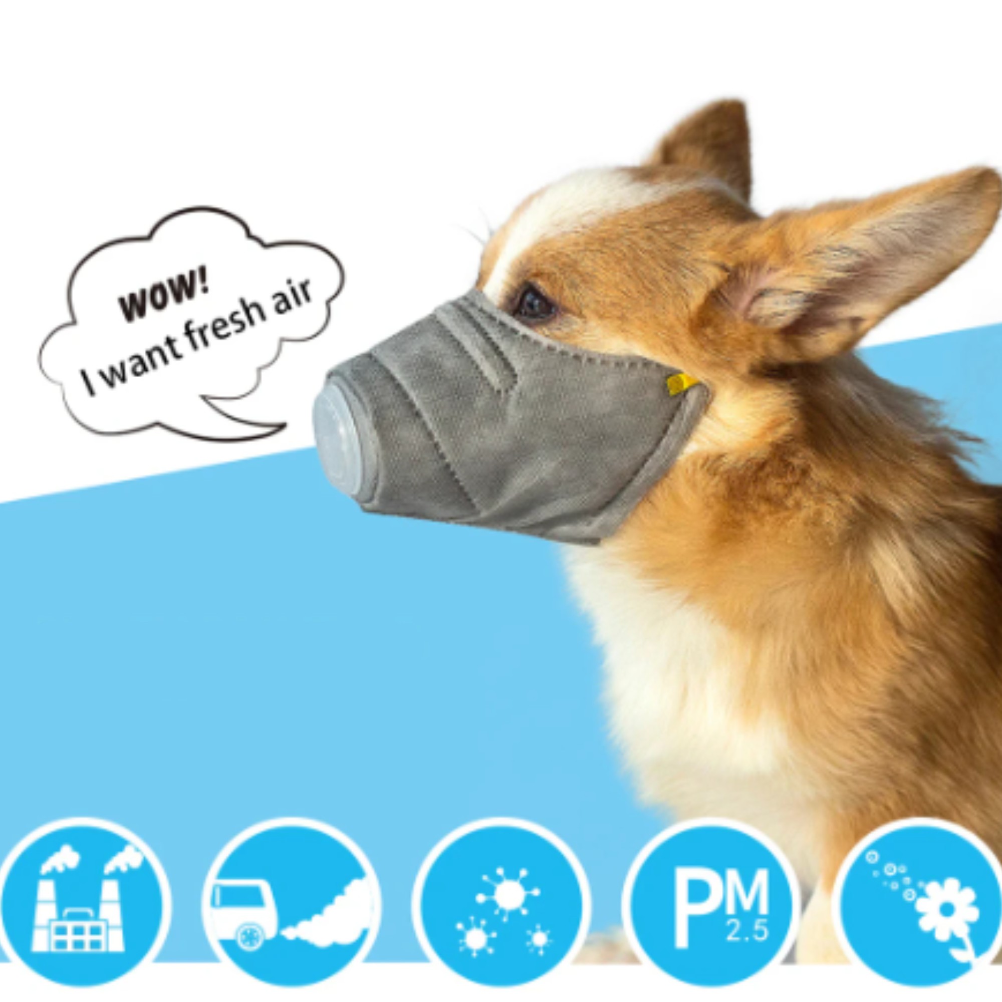 Pet Soft Cotton Comfort Anti-F - Anti Pollution Mask บทวิจารณ์และราคา