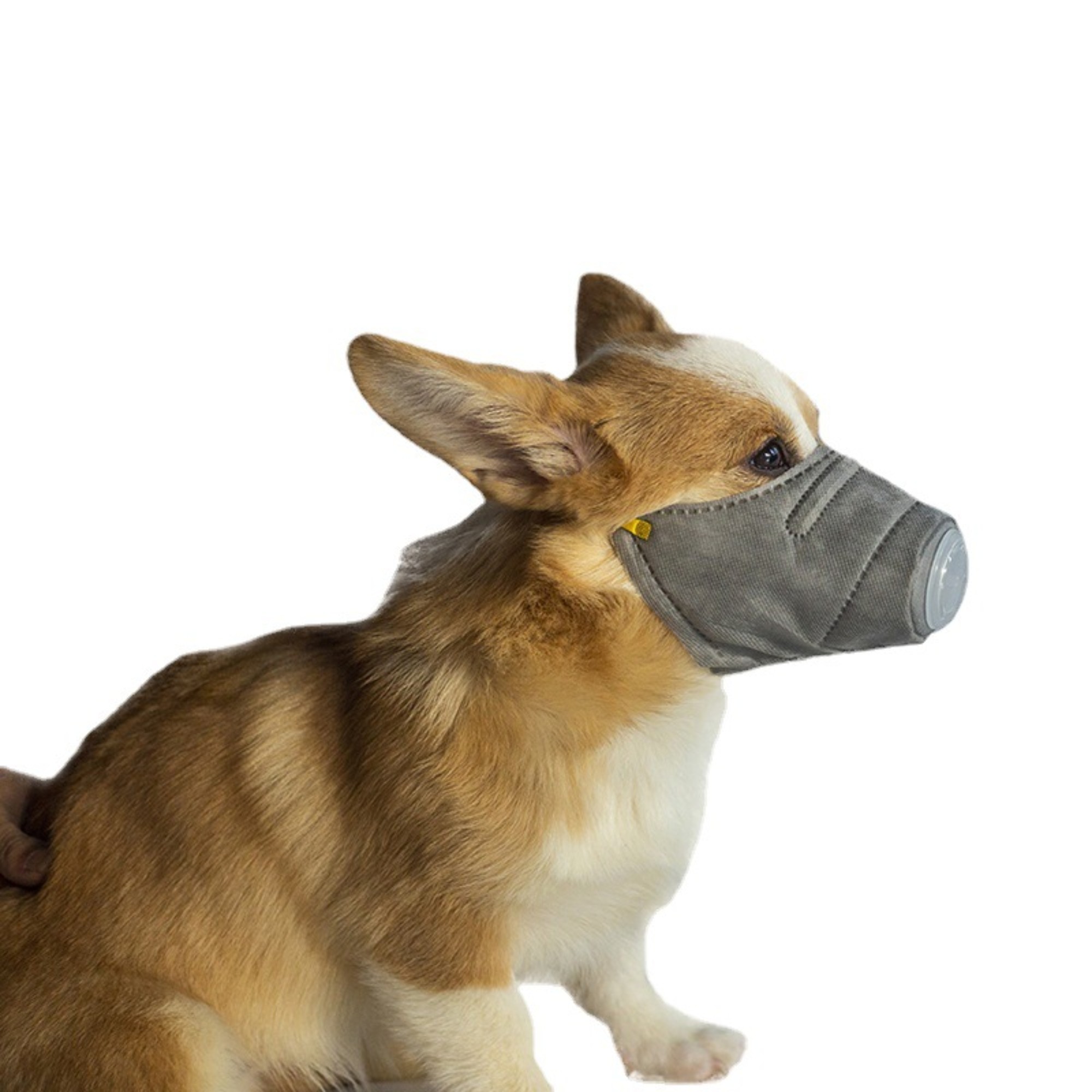Pet Soft Cotton Comfort Anti-F - Anti Pollution Mask บทวิจารณ์และราคา
